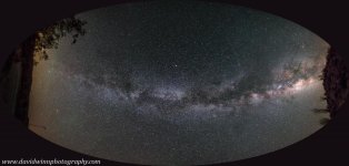 dw21726-oval-1.jpg