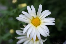 DSC_0107.jpg
