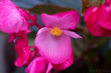 DSC_0112.jpg