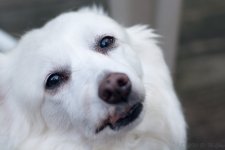 DSC_0115.jpg