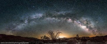_DW21705-pan-DV-2-3.jpg