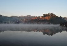 fog-1.jpg