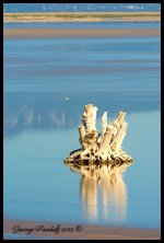 DSC_0684.jpg