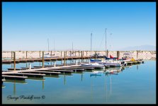 DSC_0323.jpg