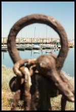 DSC_0319.jpg