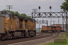 DSC_2968.jpg