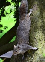 DSC_0206.JPG