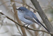 _ROY3921_01.jpg