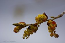 02-23-20-cr-_D7K1904-ON1.jpg