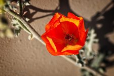 02-24-20-cr-_7501729-ON1.jpg