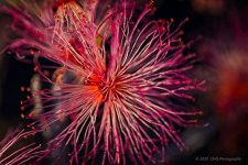 02-24-20-cr-_7501740-ON1.jpg