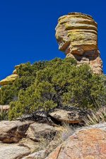 02-25-20-cr-_7501746-ON1.jpg
