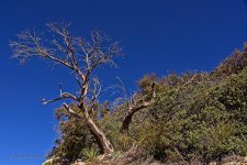02-25-20-cr-_7501749-ON1.jpg