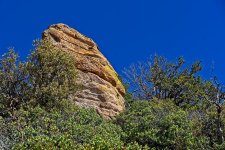 02-25-20-cr-_7501751-ON1.jpg