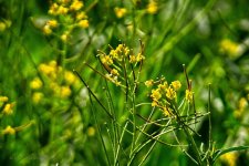 02-27-20-cr-_D7K1919-ON1.jpg