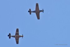 02-27-20-cr-_D7K1921-ON1.jpg