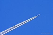 02-27-20-cr-_D7K1941-ON1.jpg
