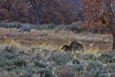 02-14-20-cr-_D7K1656-ON1.jpg