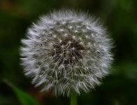_ROY4386_01.jpg