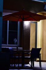 _ROY4438_01.jpg