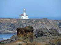 Cape Arago - Small_00003.jpg