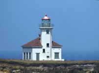 Cape Arago - Small_00004.jpg