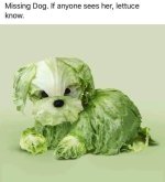 88303425_3799727523385689_2325826972350939136_n.jpg