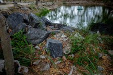 rock-pond-1.jpg