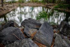 rock-pond-2.jpg