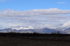 DSC_0136-20200211_160.jpg