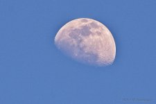 03-04--20-cr-_D7K1962-ON1.jpg