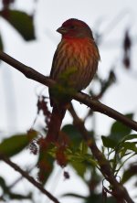 _ROY4763_01.jpg