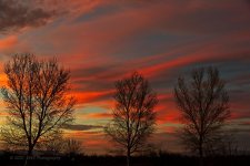 03-06-20-cr-_7501813-ON1.jpg