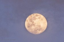 03-07-20-cr-_D7K2006-ON1.jpg