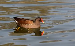 DSC_3809.jpg