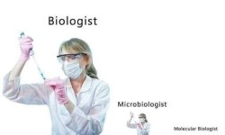 Types of Biologists.jpg