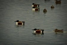 03-10-20-cr-_D7K2060-ON1.jpg
