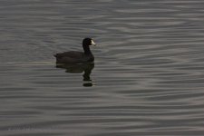 03-10-20-cr-_D7K2073-ON1.jpg