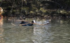DSC_3878.jpg