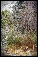 710_7370-Edit.jpg