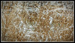 710_7369-Edit.jpg
