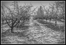 710_7359-Edit.jpg