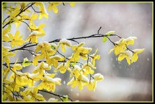 DSC_8352-Edit.jpg