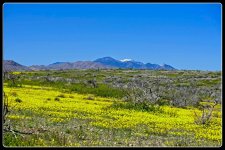 03-15-20-cr-_7501876-ON1.jpg