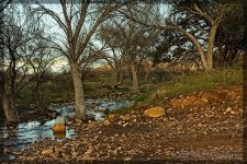 03-19-20-cr_7501910-ON1.jpg