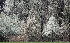 _NIK1476 low res.jpg