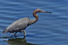 _ROY6239_01.jpg