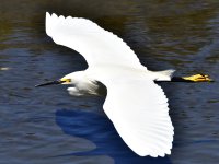 _ROY6349.jpg