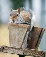 _NIK1490 low res.jpg