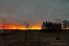 03-26-20-cr_7501973-ON1.jpg